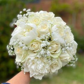 fwthumbroses and Peony and Gyp.jpg